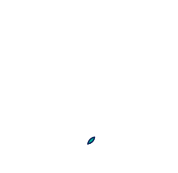 Quiz Illustration Animated
